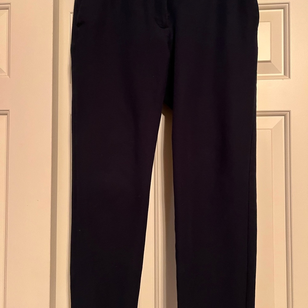 Ann Taylor dress pants